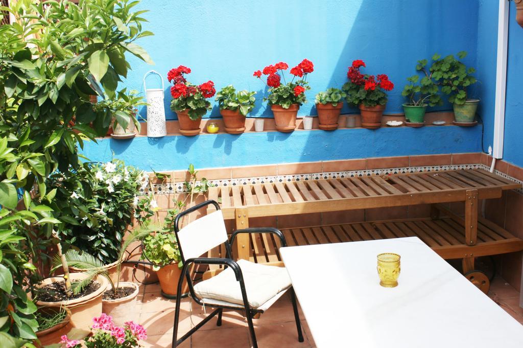 La Terraza Azul Apartment